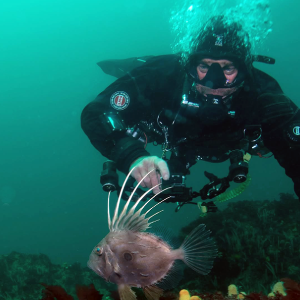 Kilkee Scuba-1-625x625